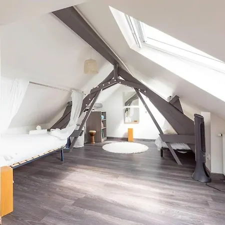 Апартаменты Le Duplex Pernot Дижон